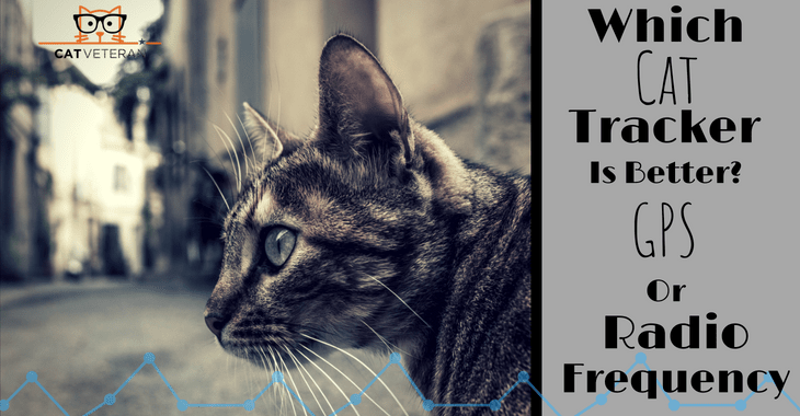 which cat tracker is better gps or radio frequency
