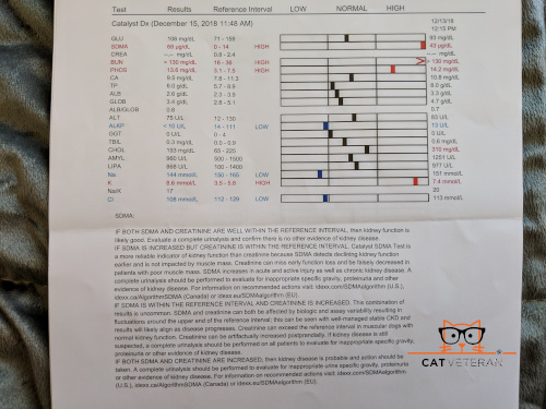 page 2 of Bubs blood work